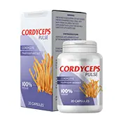 Cordyceps Pulse